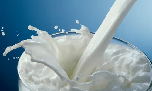 Il latte e le alternative vegetali